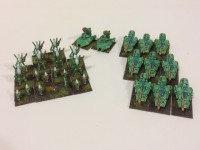 Eldar Army additions.JPG