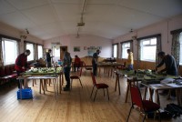 DSC02777 (Large).JPG