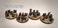 IH Sternguard Breachers.jpg