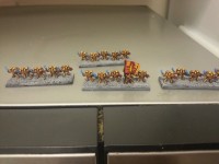 Sanguinary Guard.jpg