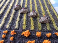 crops.jpg
