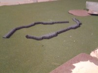 20140921_110753.jpg