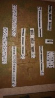 IMAG1030.jpg