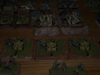 _2257204.JPG