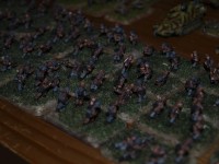 _2257211.JPG