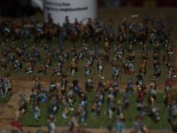 _2257220.JPG