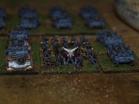 _3157295.JPG