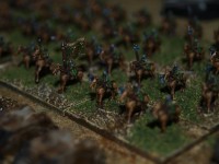 _3177305.JPG