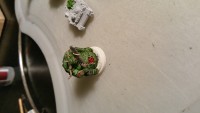 20150402_234002.jpg