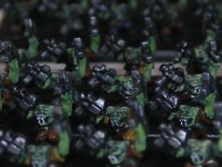 DSCF8513.JPG