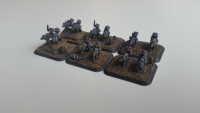 thunderwolfs.jpg