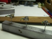 Tomb Spiders.jpg