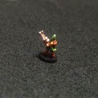 eldar 1.jpg
