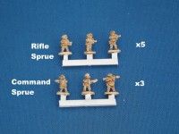 EAST INF SPT.jpg