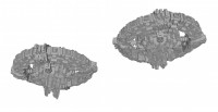 stations 004d.jpg