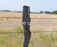 Fence post.jpg