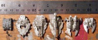 eldarSHTcomparison (2).JPG