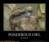 demotivational-posters-ponderous-owl.jpg