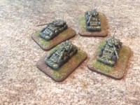 SAC Rhino's.JPG