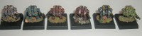 DSCF0063.JPG