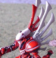 head side shot.jpg