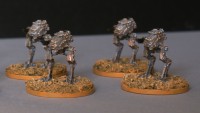 Sentinals - Sml.jpg