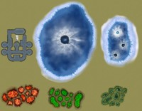Vassal_Preview_Terrain3.JPG
