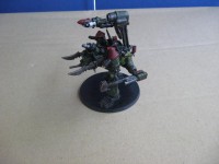 Ork warlord2.jpg