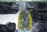 CIMG0669.JPG