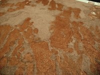 ochre wash.jpg