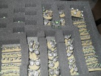 SDC14506.JPG