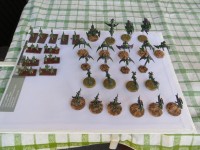 Dark Eldar2.jpg