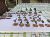 Dark Eldar1.jpg