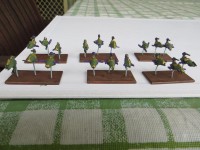 dark eldar 11.jpg