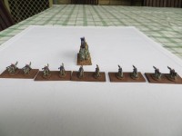 dark eldar13.jpg