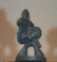 IMAG1403.gif
