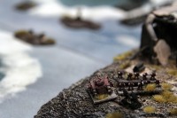 021LastManStanding.JPG