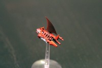 IMG_5484.JPG