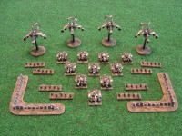 sImperial Guard Force.JPG