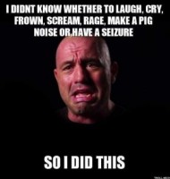i-didnt-know-whether-to-laugh-cry-frown-scream-rage-make-a-pig-noise-or-have-a-seizure-so-i-did-this-thumb.jpg