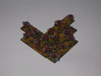 IMG_5110.JPG