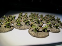 IMG_2157[1].jpg