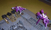 090910NidTurn2marine.jpg