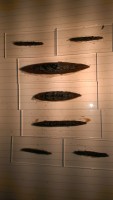 IMAG0645.jpg