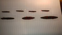 IMAG0657.jpg