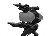 Walker2.jpg